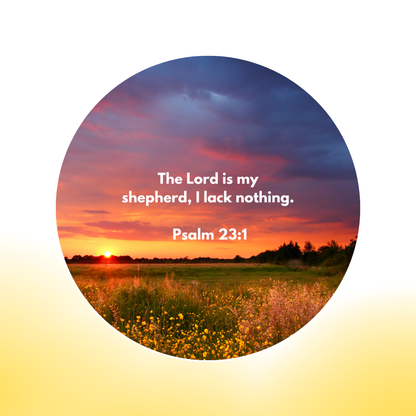 12 Additional Scripture Galaxy Discs For Bible Projector (Limited Collection)